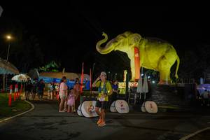 BIB: 
                            <button type="button" onclick="openModal(26552372)" class="btn btn-primary btn-sm float-right btn-popup" data-toggle="modal" data-target=".modal-high-quality">
                        <i class="fas fa-shopping-cart"></i> Add to Cart
                    </button>
                                            <button type="button" onclick="isThisMe(26552372, true)" class="btn btn-success btn-sm float-right btn-popup btn-isme hidden" data-toggle="tooltip" data-placement="bottom" title="นี่คือรูปของคุณใช่ไหม คลิกที่นี่เพื่อเอาเข้าอัลบั้ม">
                        <i class="fas fa-plus"></i> Add to album
                    </button>
                    <button type="button" onclick="isThisMe(26552372, false)" class="btn btn-warning btn-sm float-right btn-popup btn-isnotme hidden">
                        <i class="fas fa-ban"></i> Remove from album
                    </button>